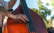 Los sonidos del contrabajo