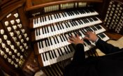 Sonidos del órgano (instrumento musical)